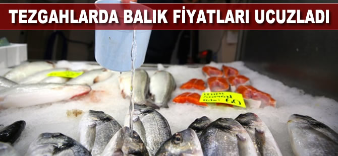 Tezgahlarda balık fiyatları ucuzladı