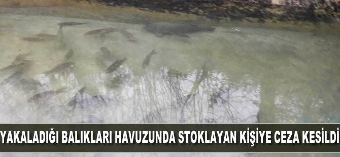 Yakaladığı balıkları havuzunda stoklayan kişiye ceza kesildi