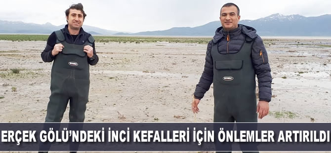 Erçek Gölü’ndeki inci kefalleri için önlemler artırıldı