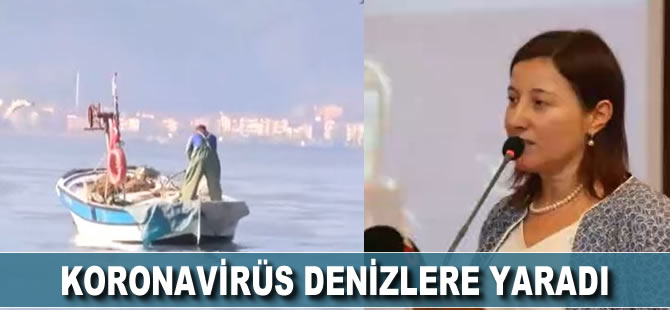 Koronavirüs salgını, denizlere yaradı