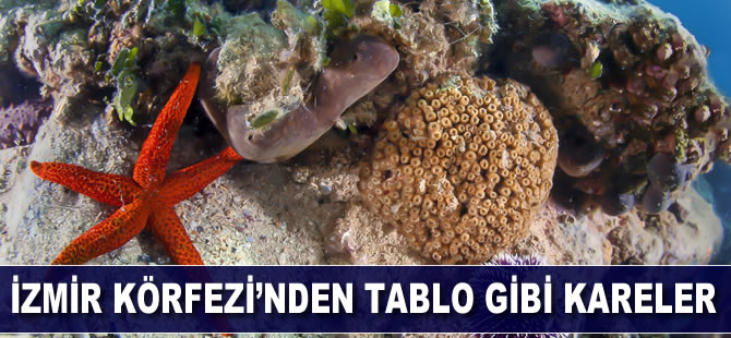 İzmir Körfezi’nden tablo gibi kareler
