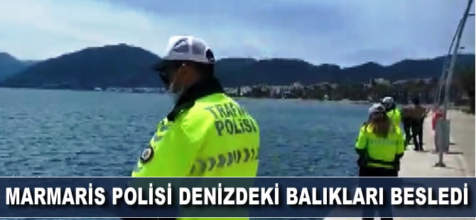 Marmaris polisi denizdeki balıkları besledi