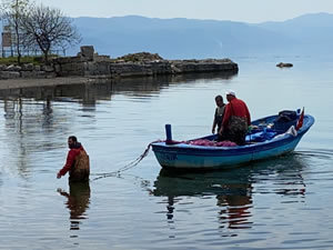 İznik Gölü'nde gümüş balığı bereketi