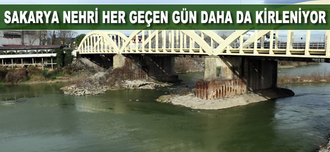 Sakarya Nehri her geçen gün daha da kirleniyor