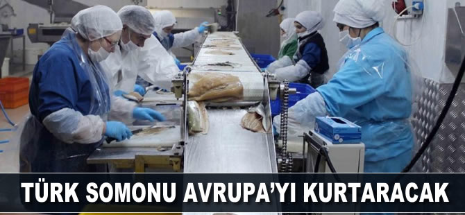 Türk somonu Avrupa’yı kurtaracak