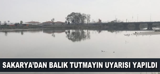 'Sakarya'dan balık tutup yemeyin" uyarısı yapıldı