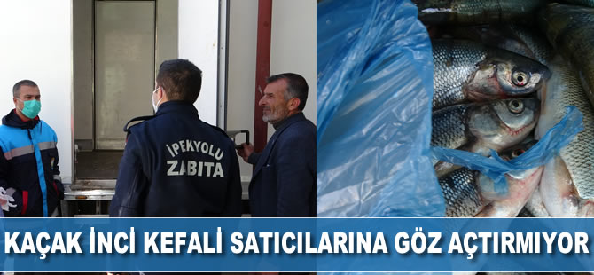 Kaçak inci kefali satıcılarına göz açtırılmadı