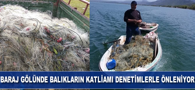 Baraj gölünde balıkların katliamı denetimlerle önleniyor