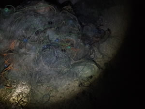 Baraj gölünde balıkların katliamı denetimlerle önleniyor