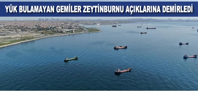 Yük bulamayan gemiler Zeytinburnu açıklarına demirledi