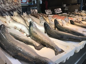 Hopa'nın su sorununa çözüm olacak proje devam ediyor