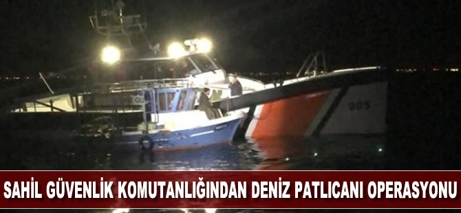 Sahil Güvenlik Komutanlığından deniz patlıcanı operasyonu
