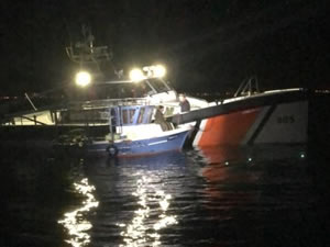 Sahil Güvenlik Komutanlığından deniz patlıcanı operasyonu