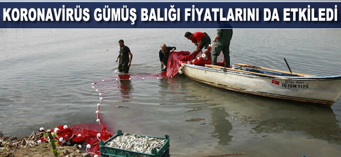Koronavirüs gümüş balığı fiyatlarını da etkiledi