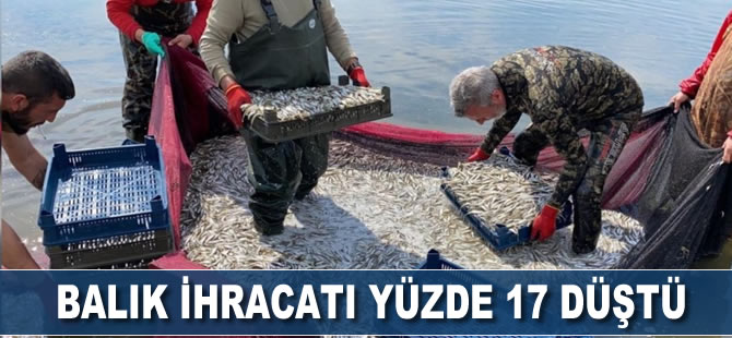 Balık ihracatı yüzde 17 düştü