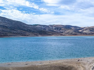 Baraj gölünde Japon balığı 'avı'