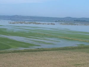 Ilısu baraj suyu il sınırındaki köylere ulaştı