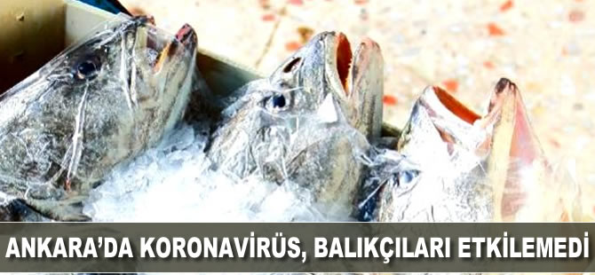 Ankara'da koronavirüs, balıkçıları etkilemedi