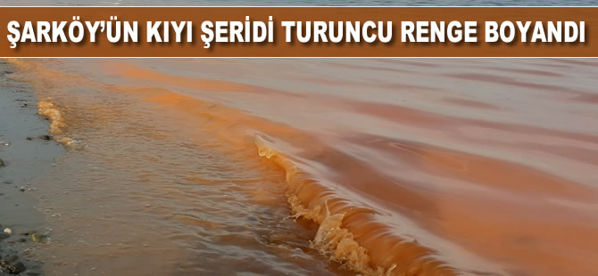 Şarköy'ün kıyı şeridi turuncu renge boyandı
