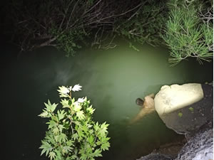 Balık tutmak için girdiği suda boğuldu