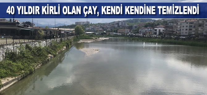 40 yıldır kirli olan çay, kendi kendine temizlendi
