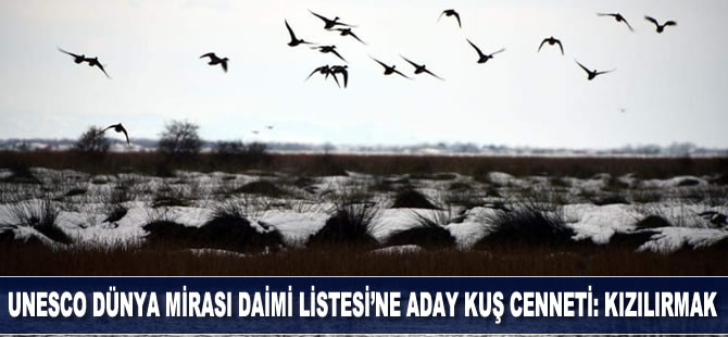 Kızılırmak Deltası Kuş Cenneti ‘kesin korunacak hassas alan’ ilan edildi