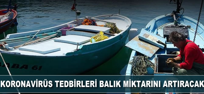 Koronavirüs tedbirleri balık miktarını arttıracak