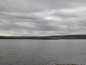 Kars Barajı tarım arazilerine hayat verecek