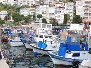 Yasağı denizden deliyorlar