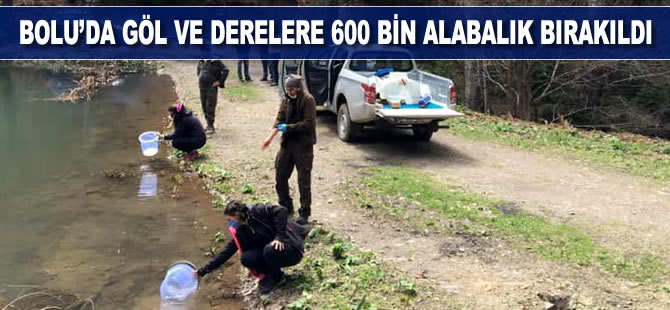 Bolu’da göl ve derelere 600 bin alabalık bırakıldı
