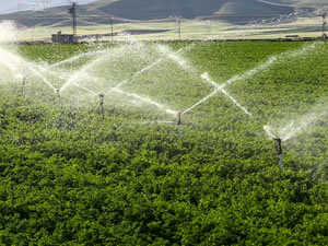 Nevşehir'de 76 bin 130 dekar tarım arazisi sulanmaya başlandı