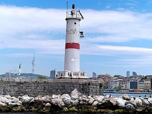 Kıyı Emniyeti bu kez, deniz fenerine takılan karabatağı kurtardı