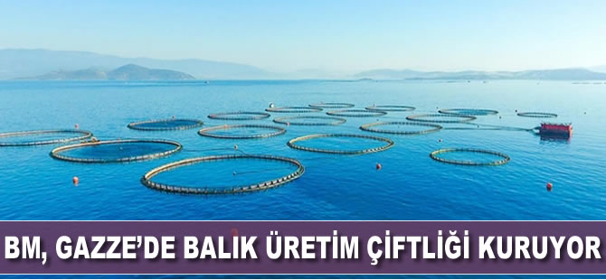 BM, Gazze'de balık üretim çiftliği kuruyor