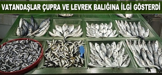 Vatandaşlar çupra ve levrek balığına ilgi gösterdi