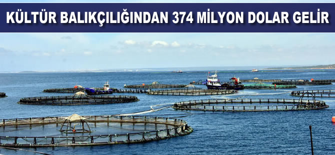 Kültür balıkçılığından 374 milyon dolar gelir