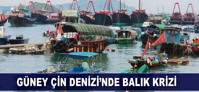 Güney Çin Denizi’nde balık krizi
