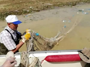 Elazığ'da bin metrelik kaçak balık ağı imha edildi