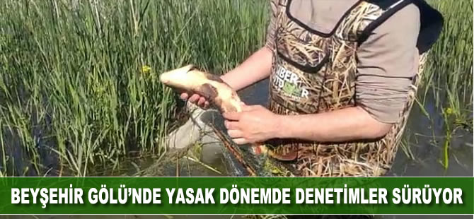 Beyşehir Gölü'nde yapılan denetimlerle üreme dönemindeki balıklar korunuyor