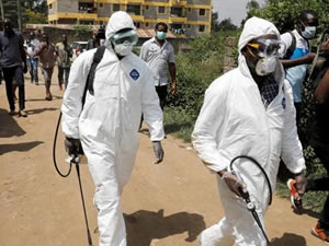 Balık işçisi, 533 işçiye koronavirüs bulaştırdı