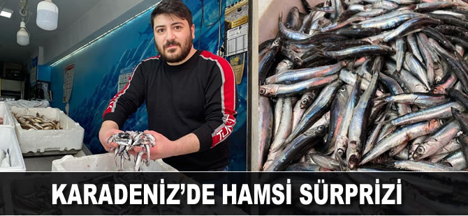 Karadeniz'de hamsi sürprizi