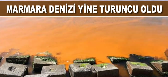 Marmara Denizi'nde yine turuncu oldu