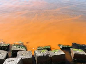 Marmara Denizi'nde yine turuncu oldu
