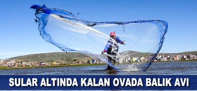 Sular altında kalan ovada balık avı