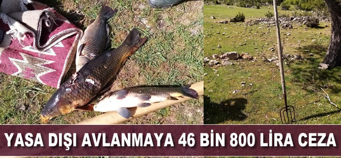 Yasa dışı avlanmaya 46 bin 800 lira ceza
