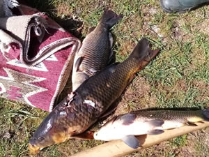 Yasa dışı avlanmaya 46 bin 800 lira ceza