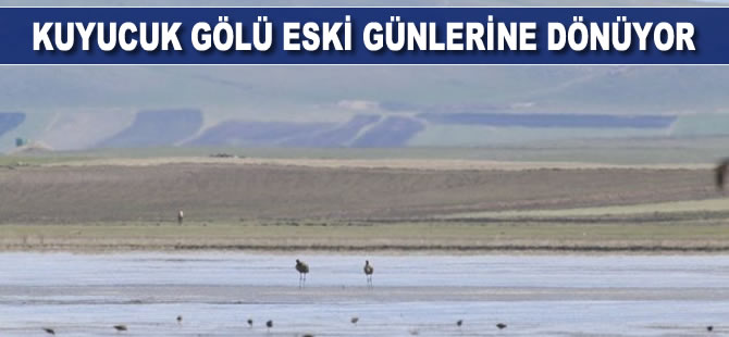 Kuyucuk Gölü eski günlerine dönüyor