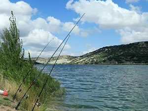 Kars'ta balık avı yasağı 15 Mayıs’ta başlıyor