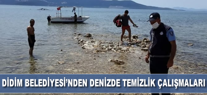 Didim Belediyesi’nden denizde temizlik çalışmaları