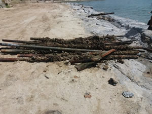 Didim Belediyesi’nden denizde temizlik çalışmaları