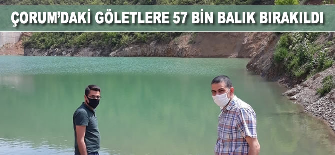 Çorum’daki göletlere 57 bin balık bırakıldı